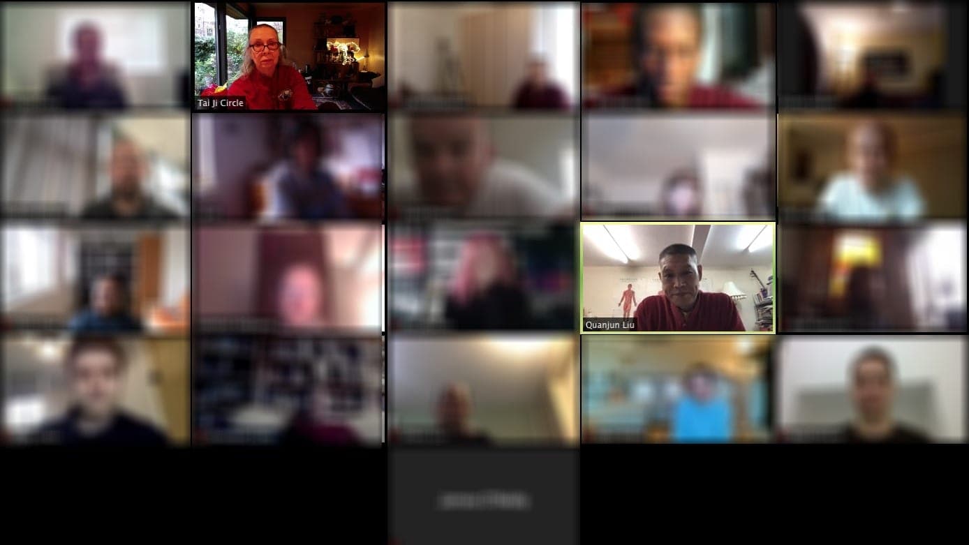 The Tai Ji Circle AGM and winter workshop on Zoom, 12 December 2020: a grid of participants' video tiles, with Chris Jones and Shifu Liu Quanjun visible and the other students blurred